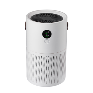 Portable Home Air Purifier